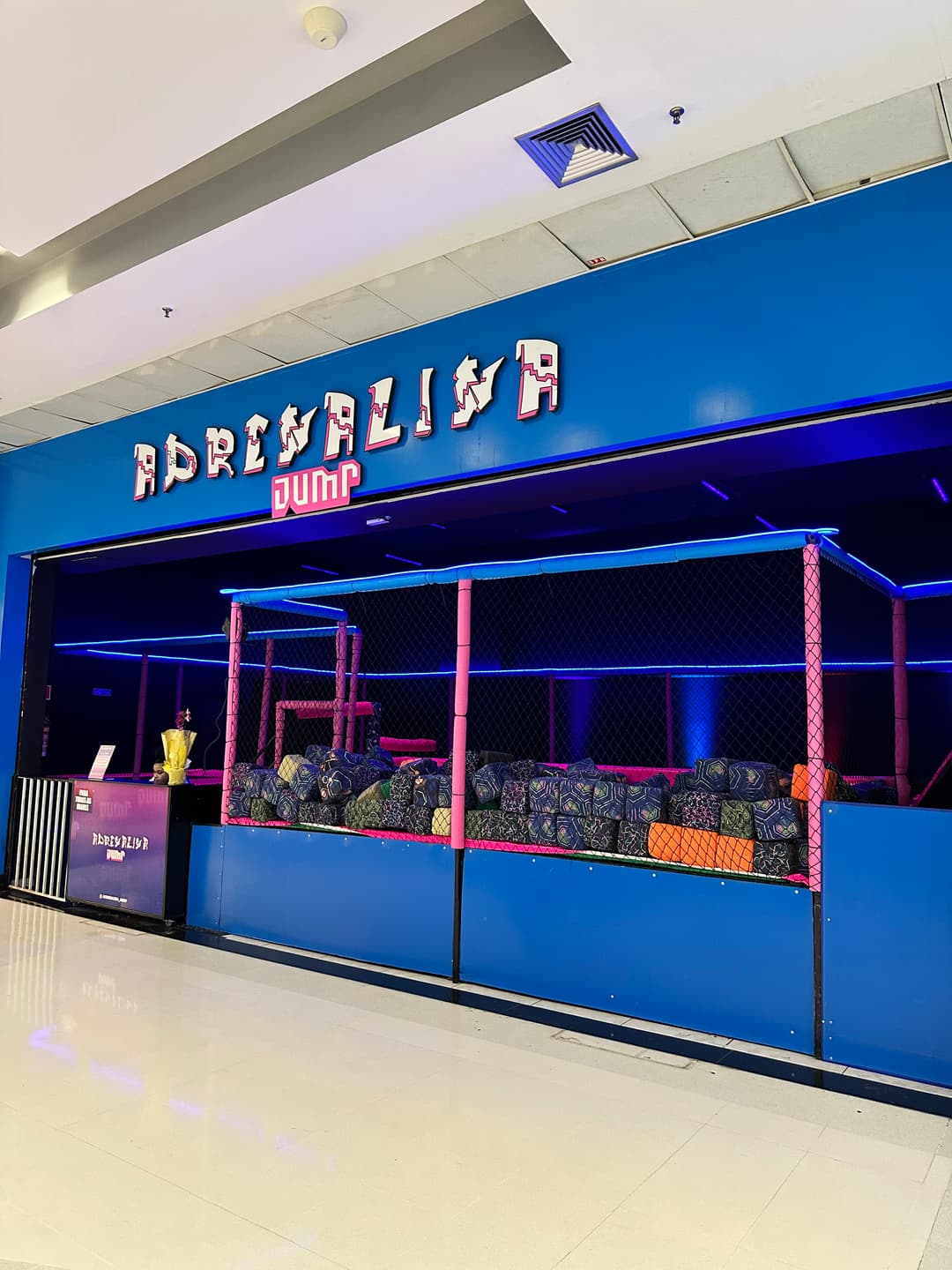 Logo da loja adrenalina jump